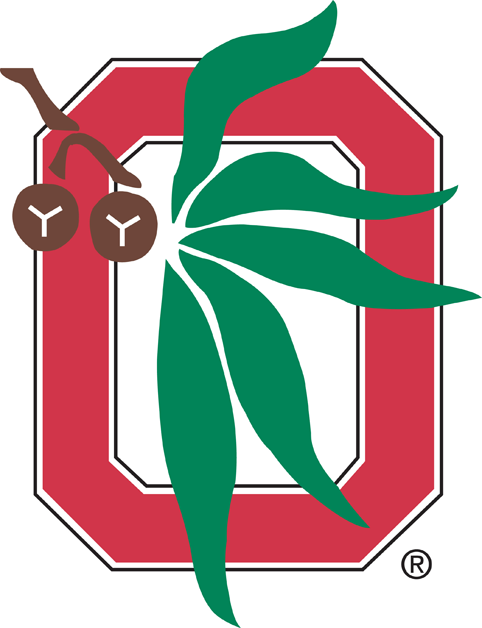 Ohio State Buckeyes 1968-Pres Alternate Logo v3 iron on transfers for clothing
